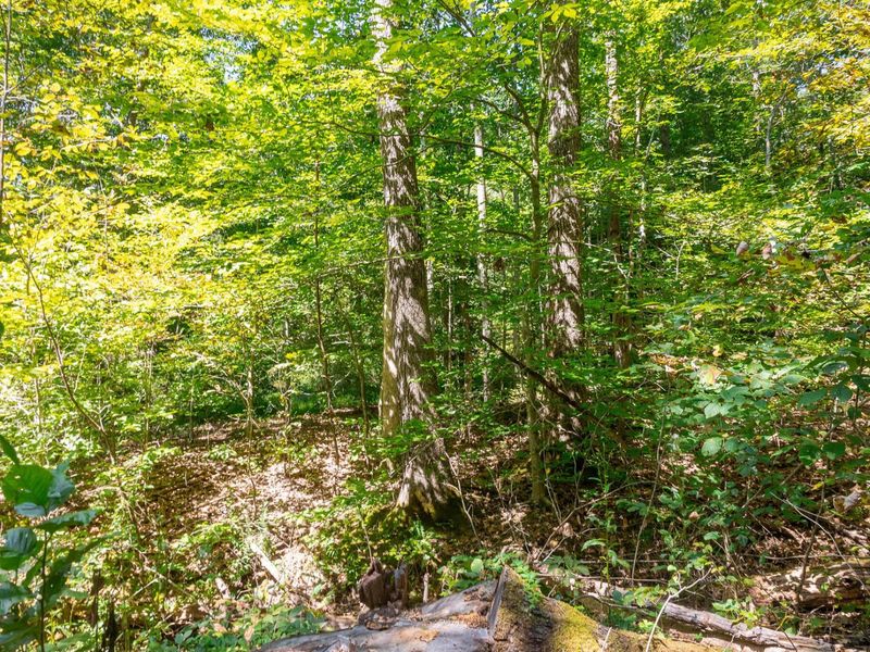 0 County Rd 269, Glouster, OH 45732 Photo 57