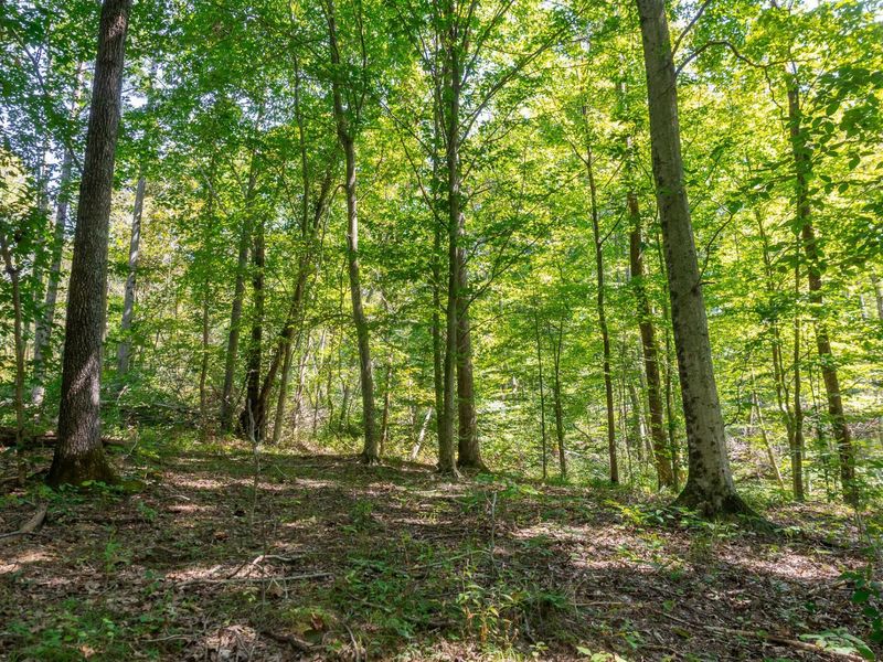 0 County Rd 269, Glouster, OH 45732 Photo 60
