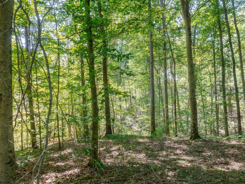 0 County Rd 269, Glouster, OH 45732 Photo 63