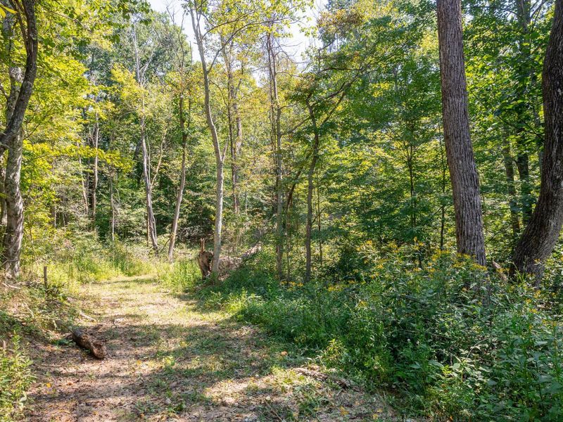 0 County Rd 269, Glouster, OH 45732 Photo 67
