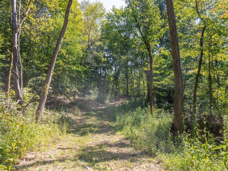 0 County Rd 269, Glouster, OH 45732 Photo 68