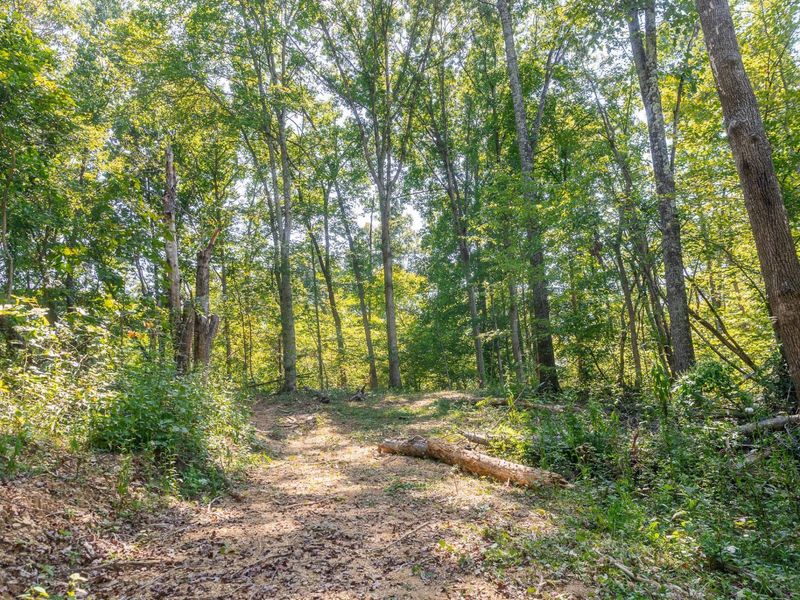 0 County Rd 269, Glouster, OH 45732 Photo 69