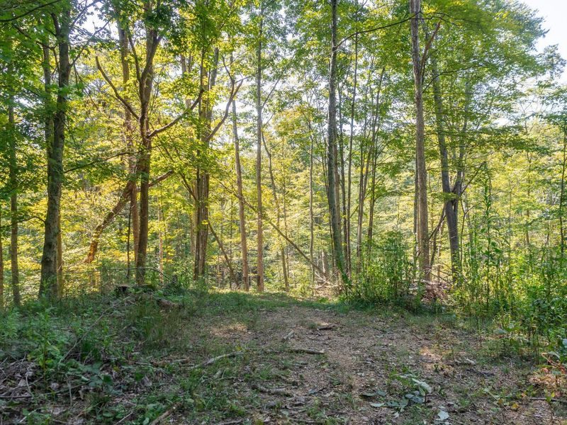0 County Rd 269, Glouster, OH 45732 Photo 75