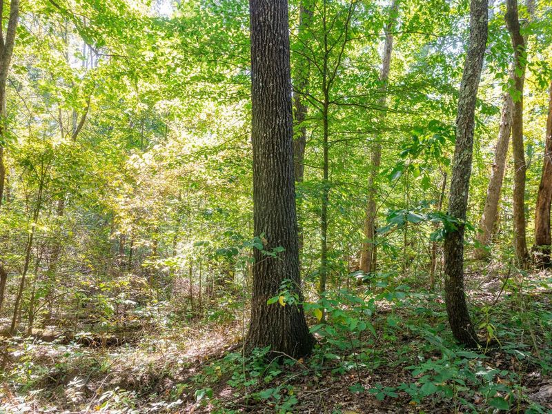 0 County Rd 269, Glouster, OH 45732 Photo 83