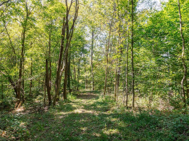 0 County Rd 269, Glouster, OH 45732 Photo 88