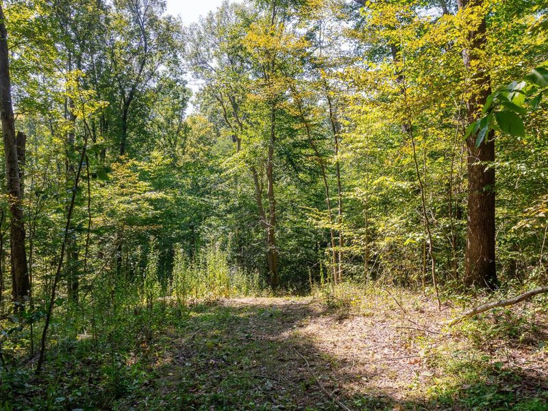0 County Rd 269, Glouster, OH 45732 Photo 94