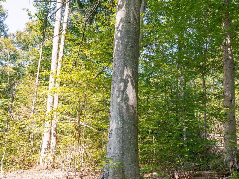 0 County Rd 269, Glouster, OH 45732 Photo 99