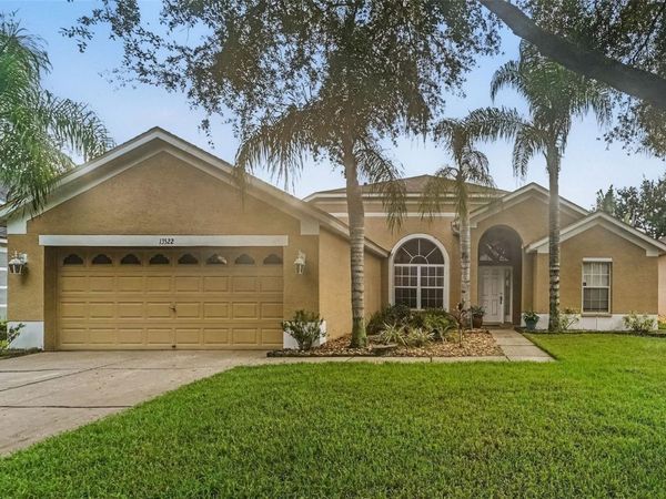 13522 WHITE ELK LOOP , TAMPA, FL 33626