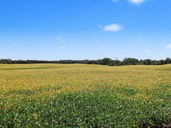 Parcel A N Hacker Road, Hartland Township, Mi 48843