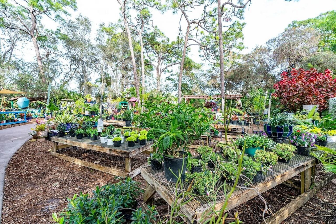 419 SE Via Sangro, Port Saint Lucie, FL 34952 Photo