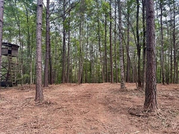 130 Patriot View Drive , Dahlonega, GA 30533