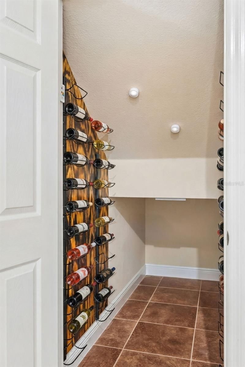 30412 Tokara Terrace, Mount Dora, FL 32757 Photo
