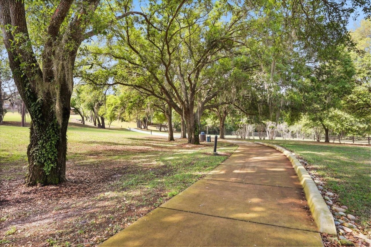 30412 Tokara Terrace, Mount Dora, FL 32757 Photo