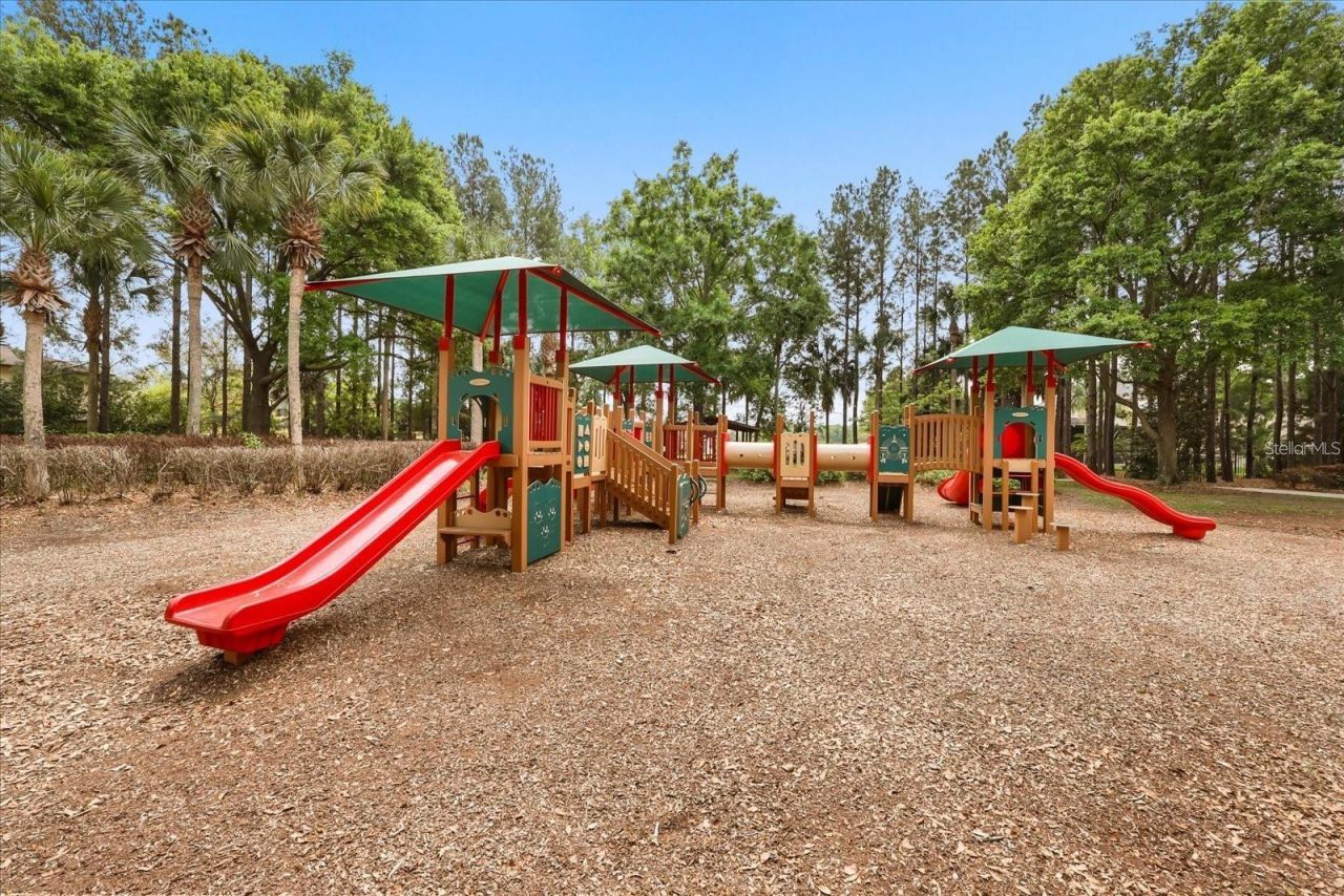 30412 Tokara Terrace, Mount Dora, FL 32757 Photo