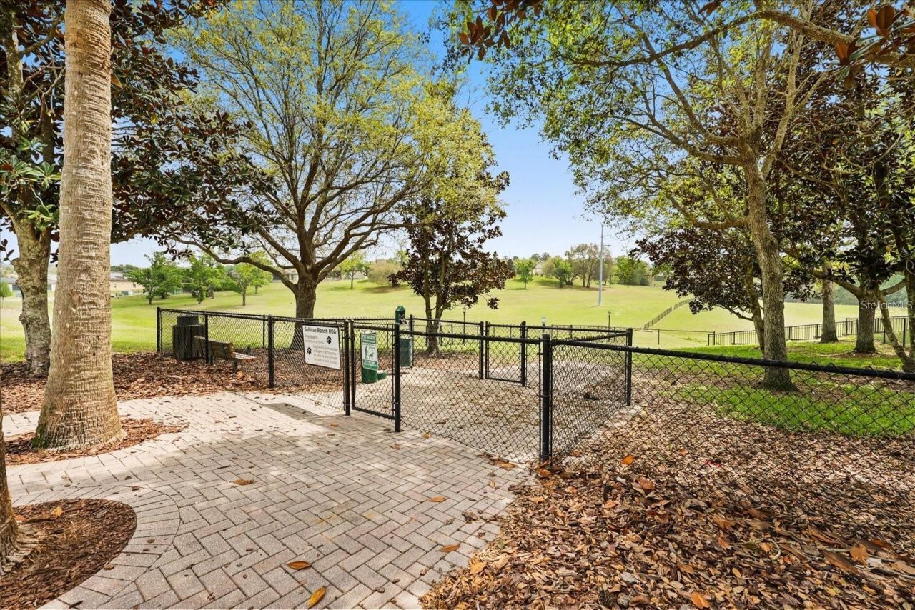 30412 Tokara Terrace, Mount Dora, FL 32757 Photo