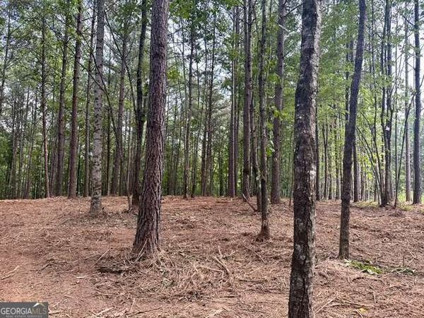 130 Patriot View Drive, Dahlonega, GA 30533