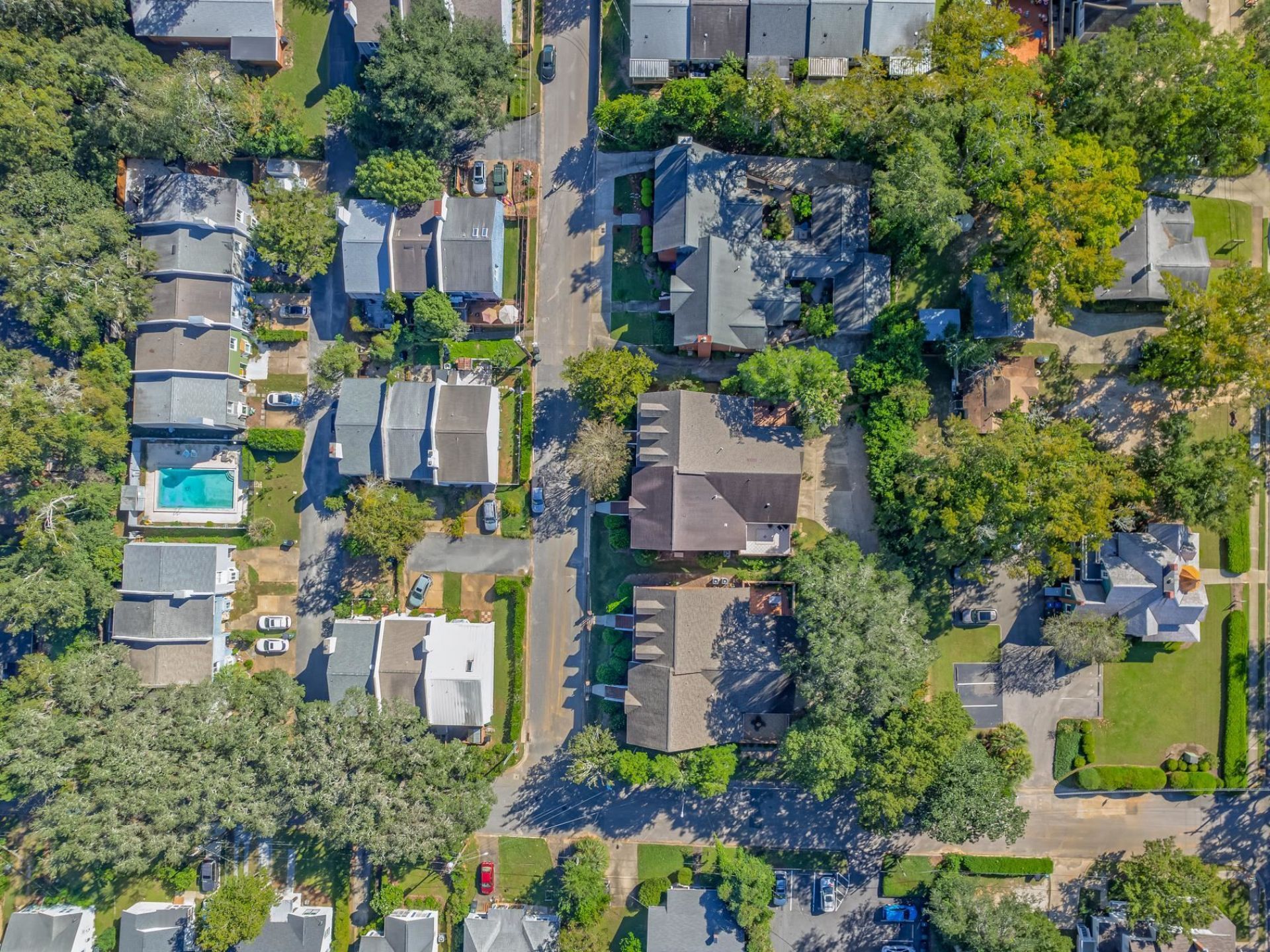 905 Hays Street, Tallahassee, FL 32301 Photo