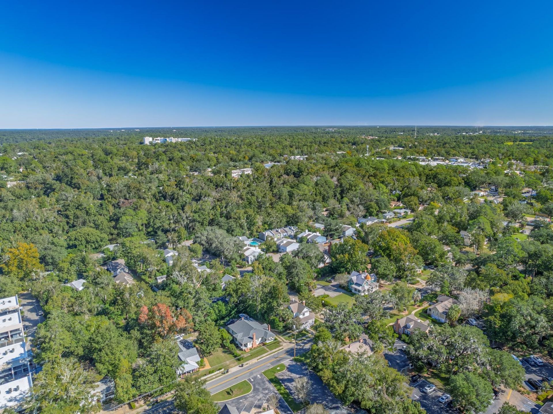 905 Hays Street, Tallahassee, FL 32301 Photo