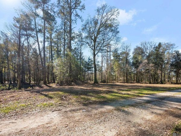 12234 Whitetail Ln, Walker, LA 70785