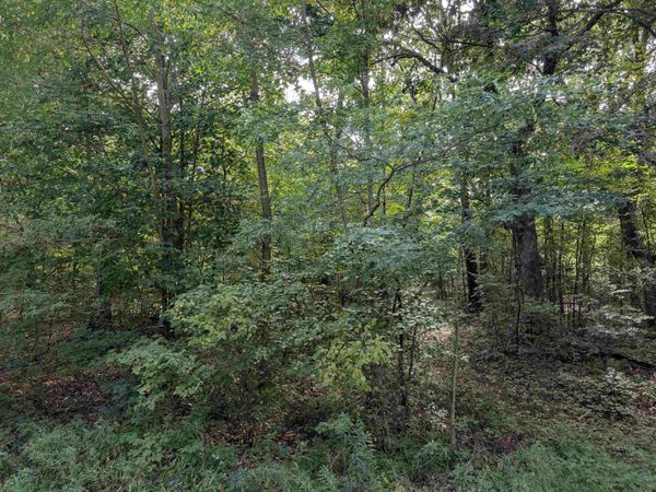 0 Raedel Lane, Wisconsin Dells, WI 53965