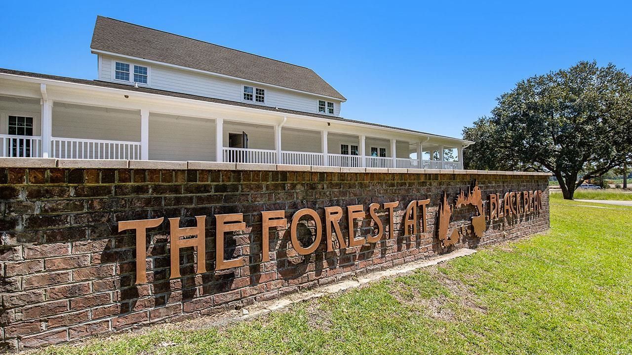 262 Long Beard Way Photo 27