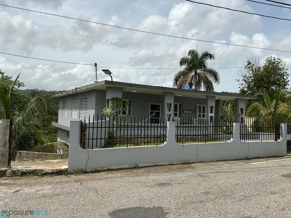 KM 20.3 CARRETERA 111, BO. PALMARILLANO, Lares, PR 00669