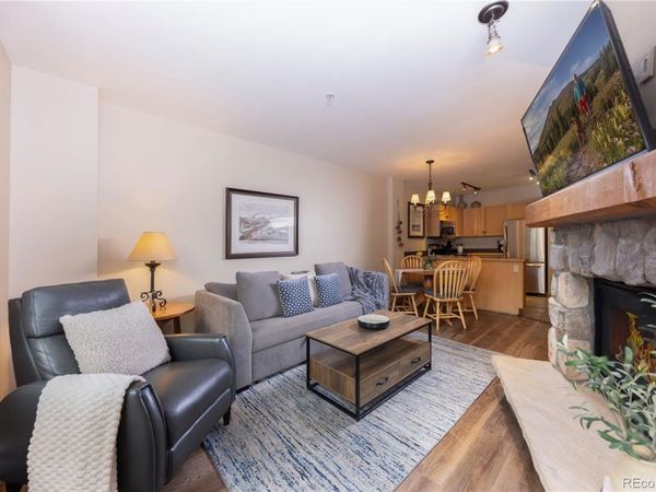 100 Dercum Square , Unit 8372, Dillon, CO 80435