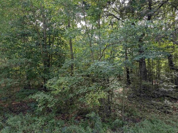 0 Raedel Lane, Wisconsin Dells, WI 53965