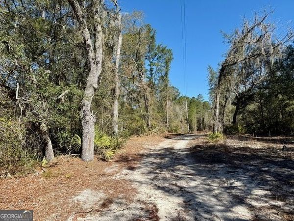 0 Live Oak Lane Road, Nevils, GA 31321