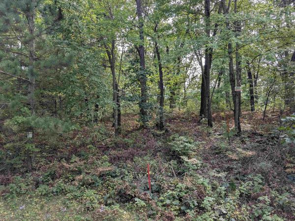 E8877 Raedel Lane, Wisconsin Dells, WI 53965