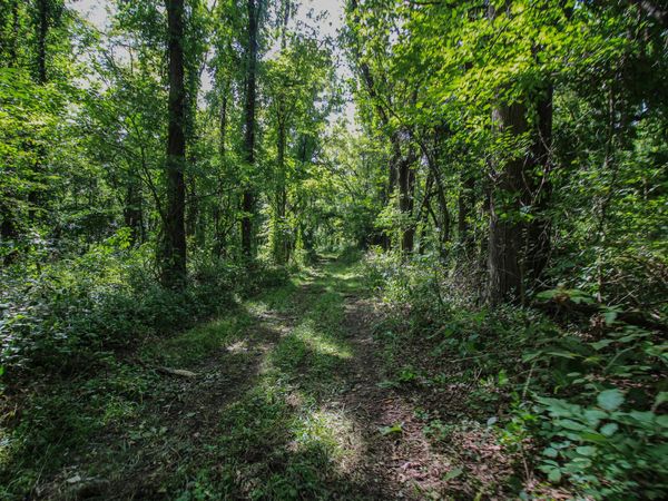 V/L Millard Road, Three Rivers, MI 49093