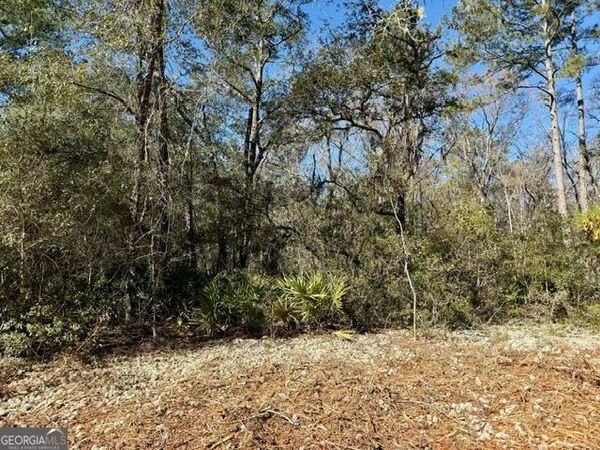 0 Live Oak Lane Road, Nevils, GA 31321