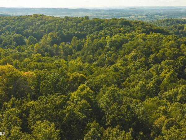 8.62 Ac Stone Mtn Road, Bulls Gap, TN 37711