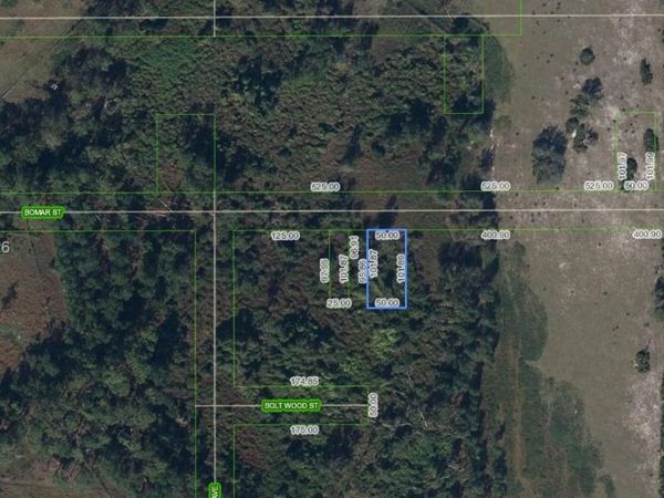 525 Bomar Street , Venus, FL 33960