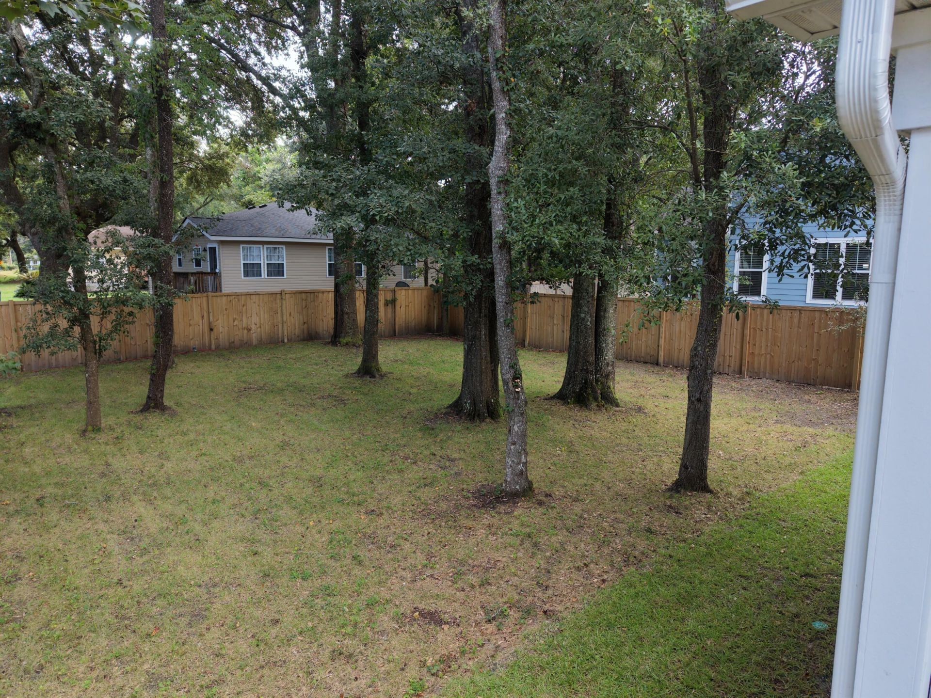 4113 Craig Ascue Lane Photo 22