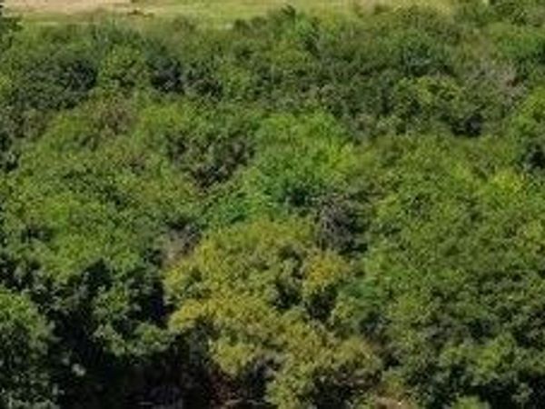 E 131st Street S, Broken Arrow, OK 74014