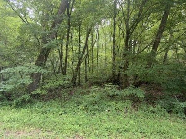 0 Brush Creek Rd, Lawrenceburg, TN 38464