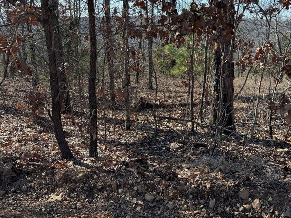 S 4556 Road , Vian, OK 74962