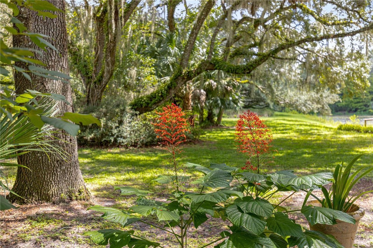 7434 E Cabin Lane , Inverness, FL 34453 Photo