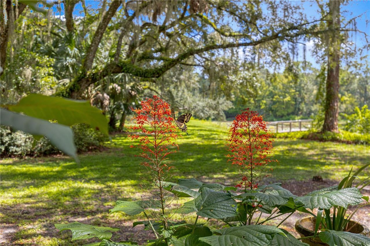 7434 E Cabin Lane , Inverness, FL 34453 Photo
