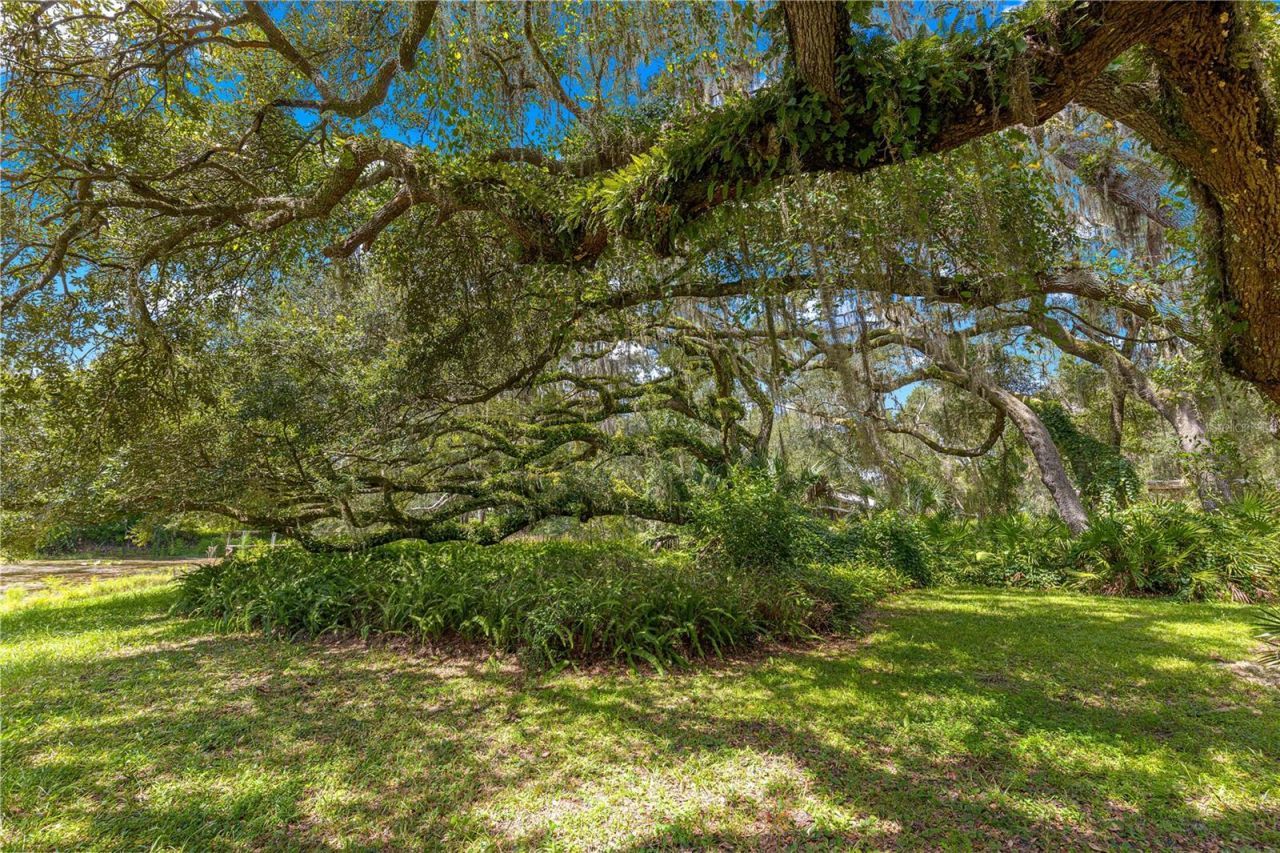 7434 E Cabin Lane , Inverness, FL 34453 Photo