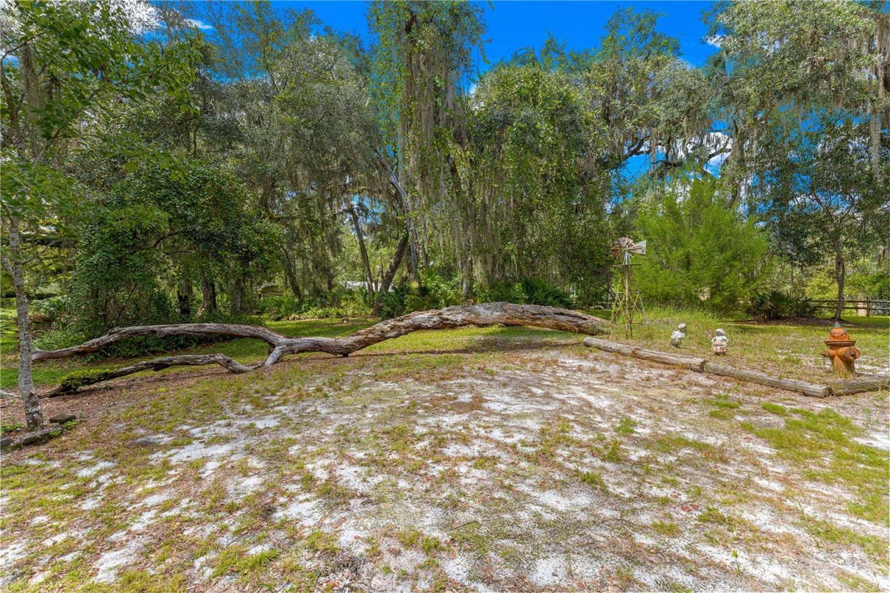 7434 E Cabin Lane , Inverness, FL 34453 Photo