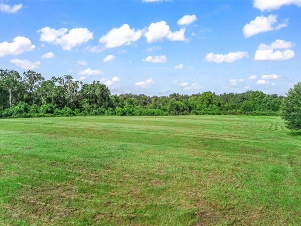 2239 SE 112TH AVENUE , WEBSTER, FL 33597