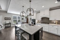 224 Mary Locke Court photo 4