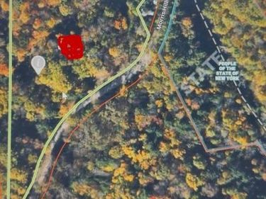 Morris Hill Road , Millport, NY 14864