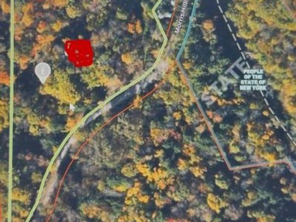 Morris Hill Road , Millport, NY 14864