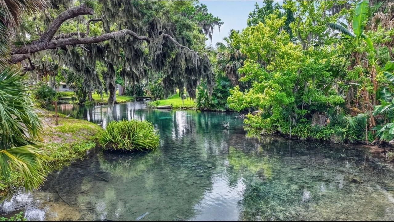 22 E Bay Avenue, Yalaha, FL 34797 Photo