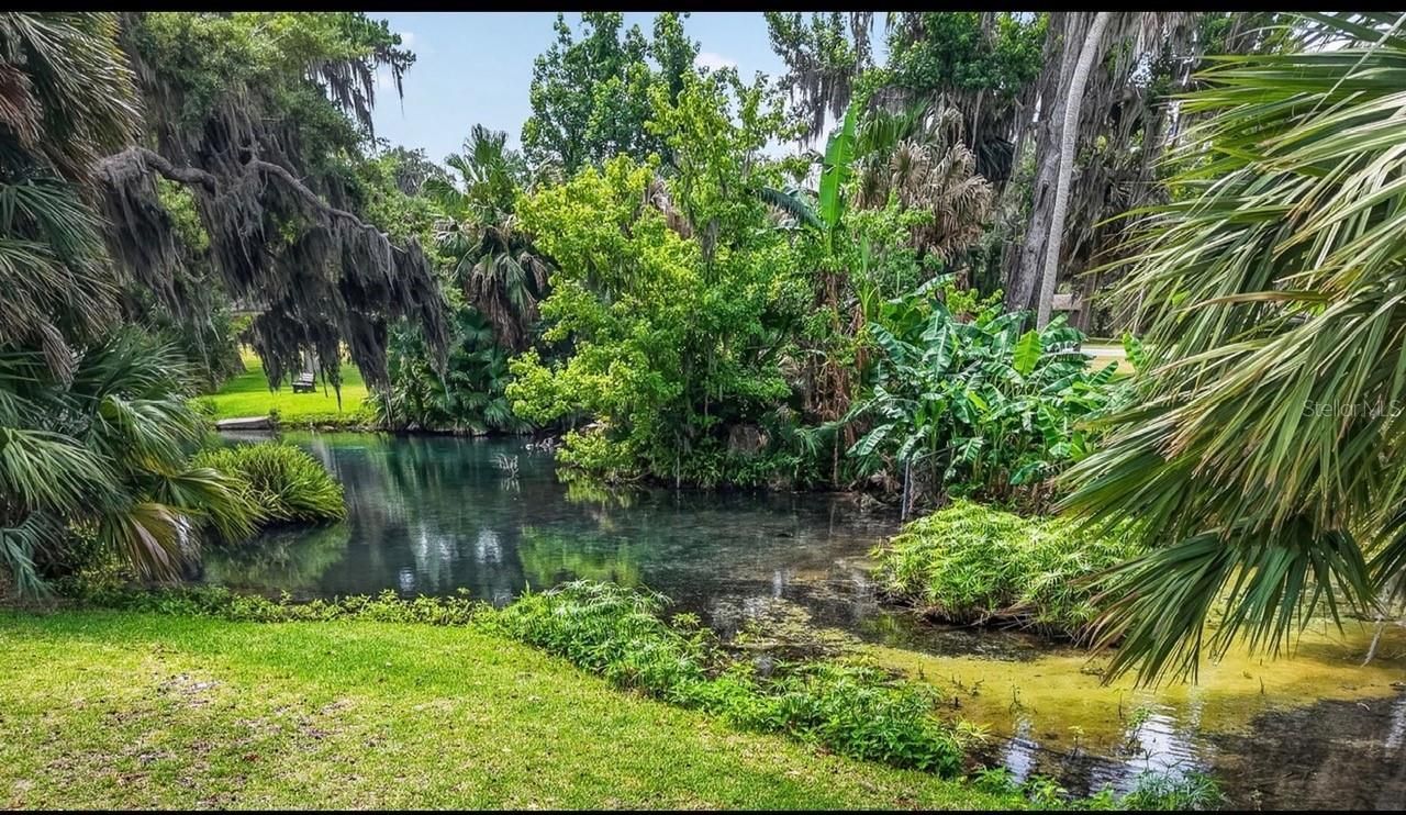 22 E Bay Avenue, Yalaha, FL 34797 Photo