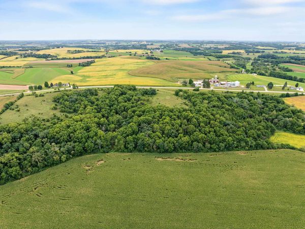 40 +/- Acres Highway 81, Argyle, WI 53504