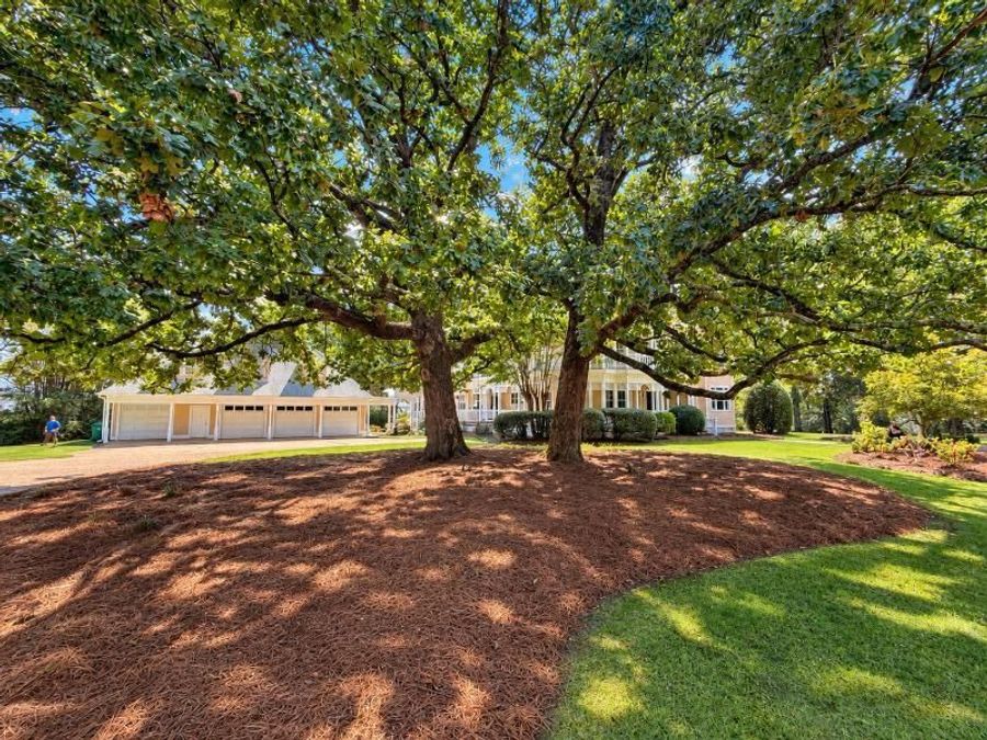 Property Image 64